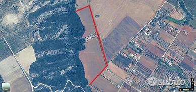 Bernalda - Azienda Agricola Con Villa e Locali