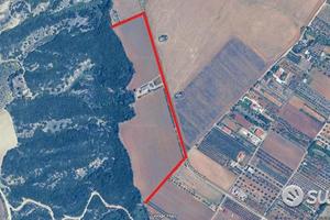 Bernalda - Azienda Agricola Con Villa e Locali