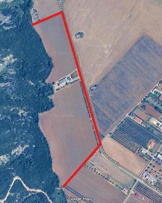 Bernalda - Azienda Agricola Con Villa e Locali