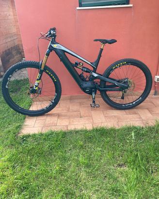YT decoy cf pro race 2019