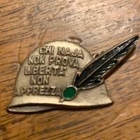 Spilla naja