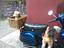 Immagine 2