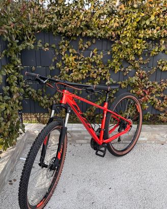 Bici Ktm 29