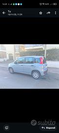 Fiat Panda ibrida 2021