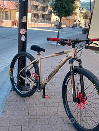 mtb lombardo 29