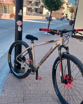 mtb lombardo 29