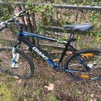 Giant mtb