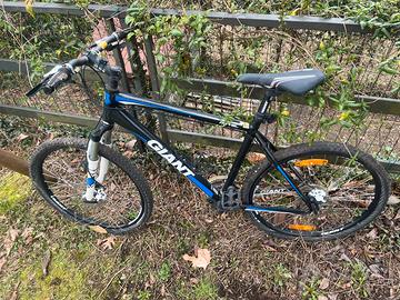 Giant mtb