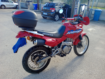 Honda NX Dominator 650 terza serie