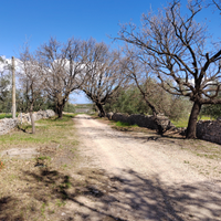 Vivi un'Estate da Sogno nella Murgia