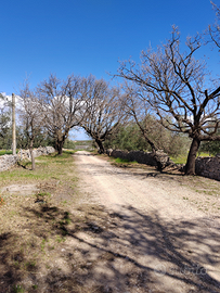 Vivi un'Estate da Sogno nella Murgia