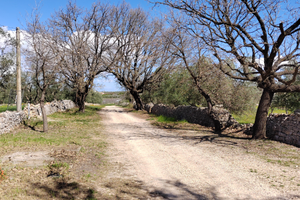 Vivi un'Estate da Sogno nella Murgia
