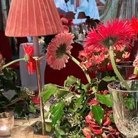 Lampada led ricaricabile