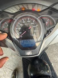 Sh 300!sport