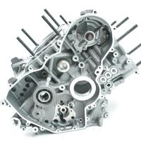 Casse motore complete Ducati Panigale 899 1199