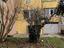 Immagine 6