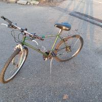 bicicletta 