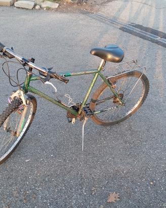 bicicletta 