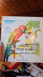 Piccolo atlante degli uccelli esotici