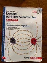 2 L'Amaldi per i licei scientifici blu