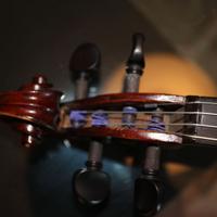 violino storico
