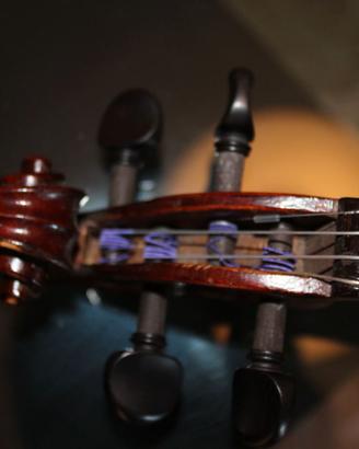 violino storico