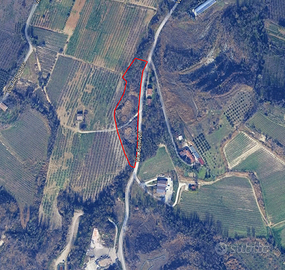 Terreno agricolo Cesena