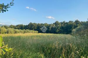 TERRENO A MONTAQUILA