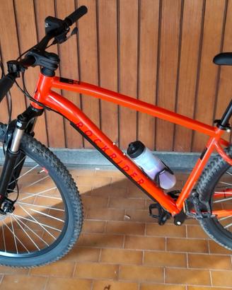 MTB XL  RUOTE 29