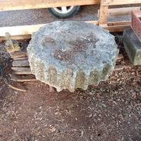ruota dentata per giardino