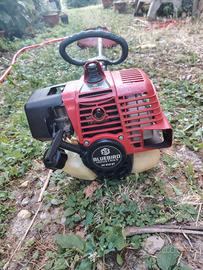 Decespugliatore  Bluebird BC 610