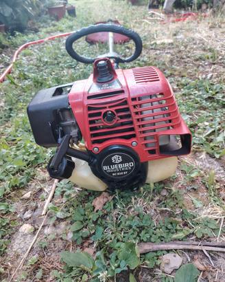 Decespugliatore  Bluebird BC 610