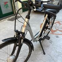Bici Ducati Elettrica