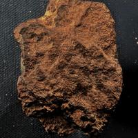 Meteorite NWA breccia