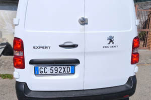 Vendita Peugeot Expert 2020