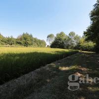 Capannone Industriale Lenta [Cod. rif 3259126VCG]