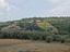 Immagine 7