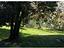 Immagine 11