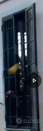 Cancello di sicurezza  per porta