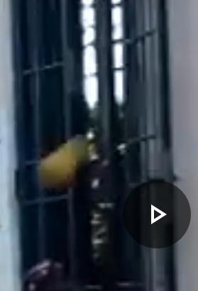 Cancello di sicurezza  per porta
