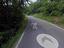 Immagine 6