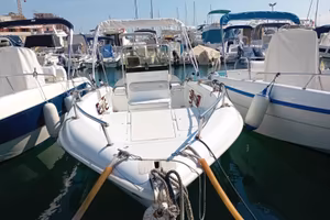 Barca a motore