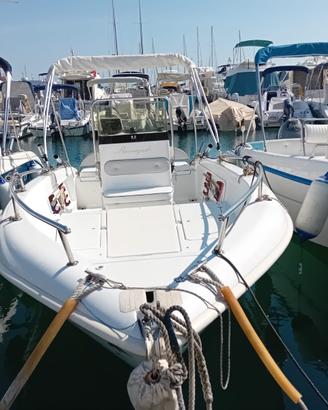 Barca a motore
