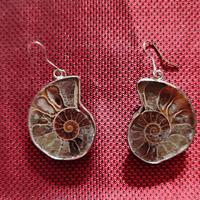 Orecchini fossile Ammonite, acciaio, fossile 35 mm