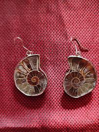 Orecchini fossile Ammonite, acciaio, fossile 35 mm