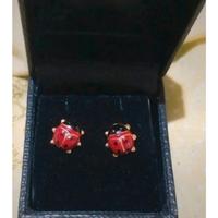 orecchini oro coccinella 🐞