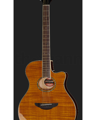 Chitarra Acustica