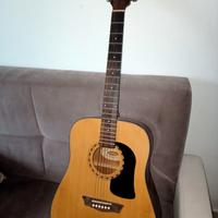 chitarra acustica Washburn Ad5