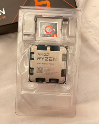 Processore AMD Ryzen 5 7600X in Perfetto Stato