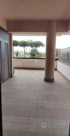 MORENA CENTRONI BILOCALE Con TERRAZZO PRIVATO